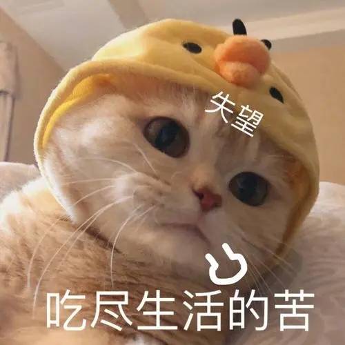 论文发表如何正确选择期刊？期刊论文发表的注意事项都有哪些？
