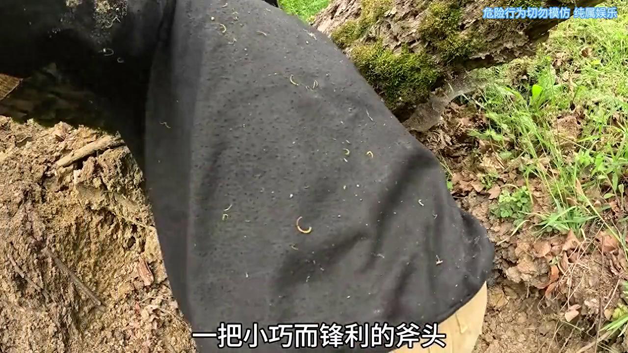 丛林深处伪装庇护所_有个游戏是地下避难所_建造隐蔽庇护所