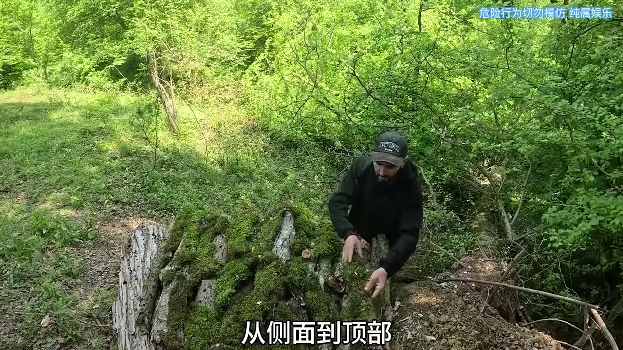 丛林深处伪装庇护所_建造隐蔽庇护所_有个游戏是地下避难所