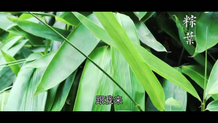 端午节到了，教大家制作粽子，味道很香