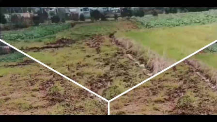 美味的野菜精心制作过程