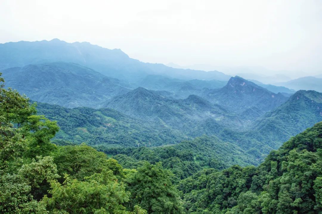 洪雅旅游必去十大景点，四川洪雅10个周边游好去处，你去过几个？
