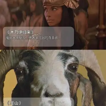 冒险动作电影推荐_香港冒险电影_豆瓣高分冒险动作片