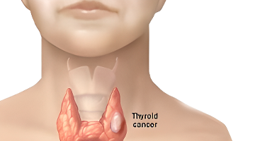 新倩女幽魂斗战成佛PVP服务器_新倩女幽魂天命归来PVE服务器_倩女幽魂新区预约