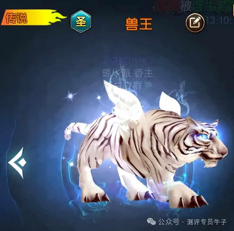 武林外传十年之约 宠物获取体系 阶梯式进阶_武林外传都有什么特权卡