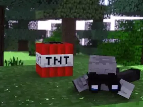 Minecraft 史蒂夫被偷窥了 可怜的小白...