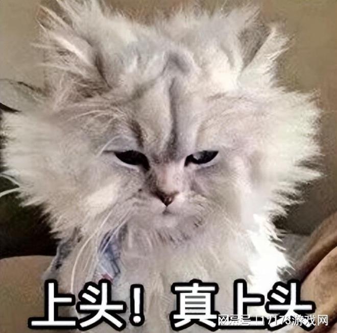 洛奇英雄传职业玩法_洛奇英雄传战斗体验_洛奇英雄传盾娘装备