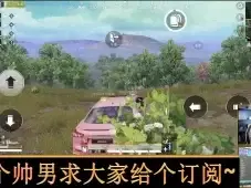 和平精英奇怪君 带妹就要跳大点，枪扫伏地魔17杀吃鸡 奇怪君和平精英游戏实况