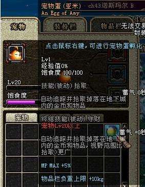 DNF宠物刷图排行榜 国服所有宠物实力大全