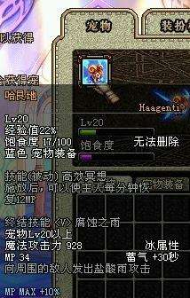 DNF宠物刷图排行榜 国服所有宠物实力大全