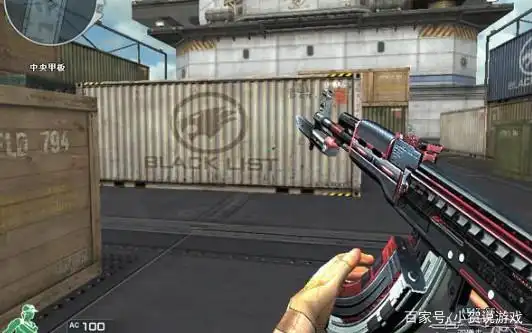 AK47武器发展历程_穿越火线ak-ss_AK47家族进化史