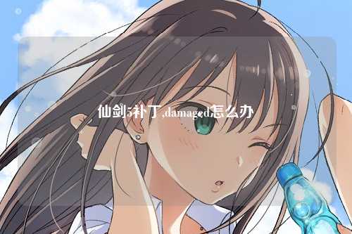 仙剑5补丁,damaged怎么办