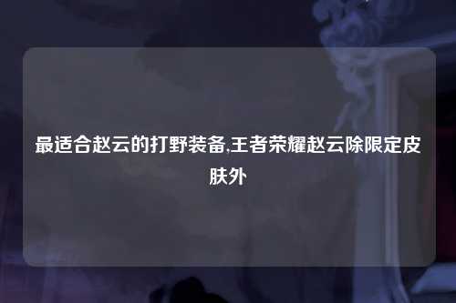 最适合赵云的打野装备,王者荣耀赵云除限定皮肤外