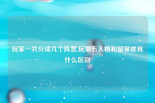 玩家一共分成几个阵营,玩第五人格和留案底有什么区别
