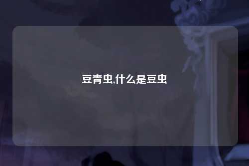 豆青虫,什么是豆虫