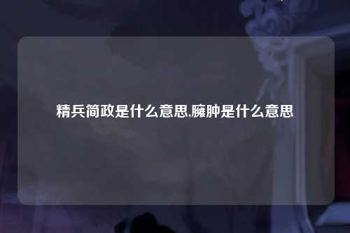 精兵简政是什么意思,臃肿是什么意思