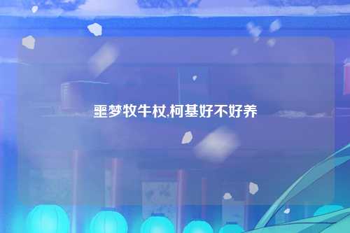 噩梦牧牛杖,柯基好不好养