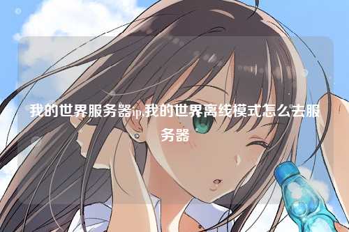 我的世界服务器ip,我的世界离线模式怎么去服务器