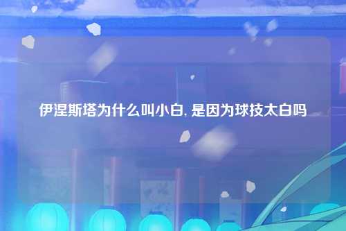 伊涅斯塔为什么叫小白, 是因为球技太白吗