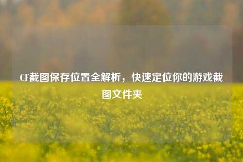CF截图保存位置全解析，快速定位你的游戏截图文件夹