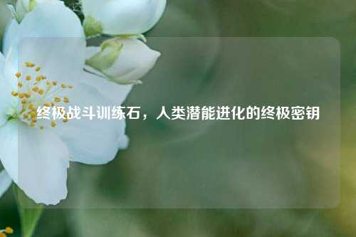 终极战斗训练石，人类潜能进化的终极密钥
