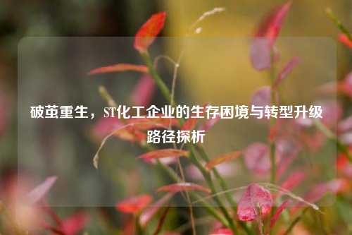 破茧重生，ST化工企业的生存困境与转型升级路径探析