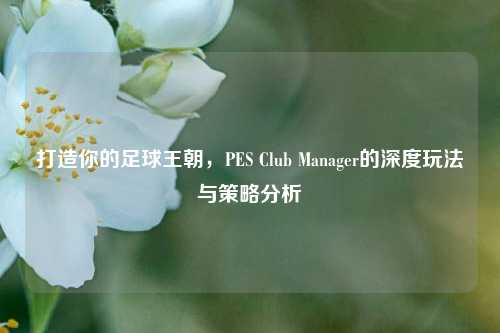 打造你的足球王朝，PES Club Manager的深度玩法与策略分析