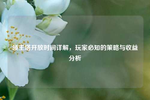 领主塔开放时间详解，玩家必知的策略与收益分析