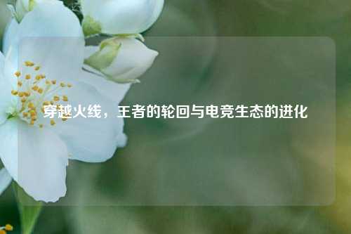 穿越火线，王者的轮回与电竞生态的进化